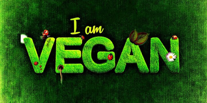 vegan, healthy attitude, nourishment