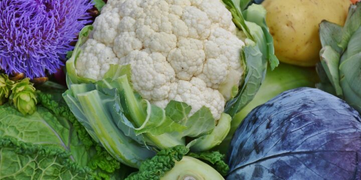 cauliflower, red cabbage, savoy