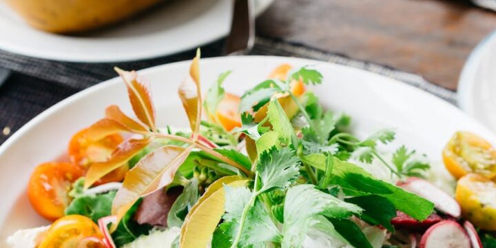 Vegetable Salad on White Plate