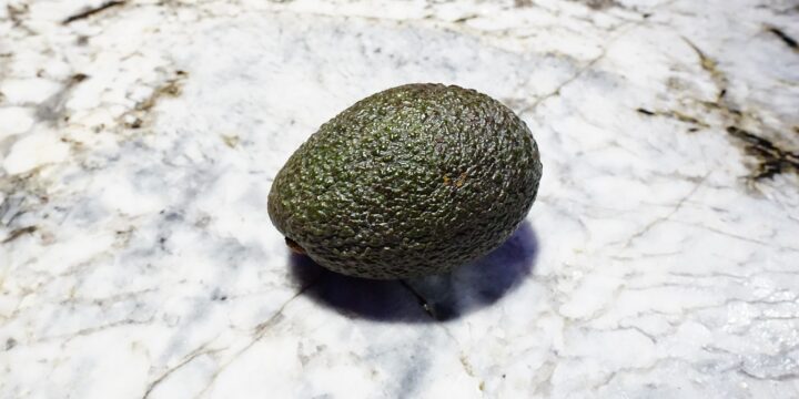 avocado, fruit, persea americana