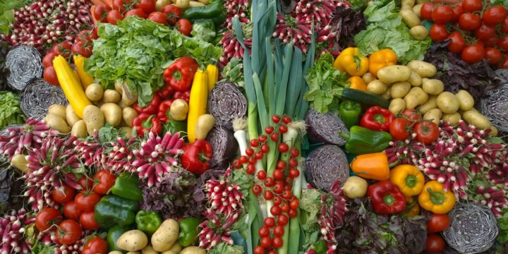 variety of vegetables