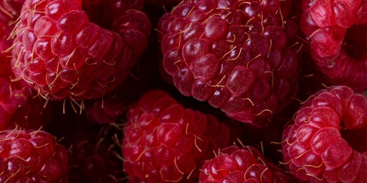 selective focus photography of red raspberries