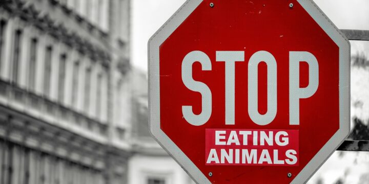 selective color of Stop eating animals signage