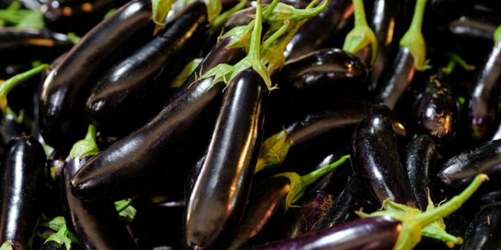 a pile of purple eggplant with green stems