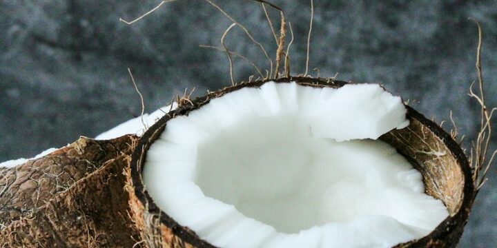 brown and white coconut shell on white snow