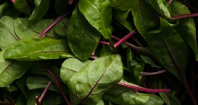 a pile of green leafy vegetables sitting on top of a table